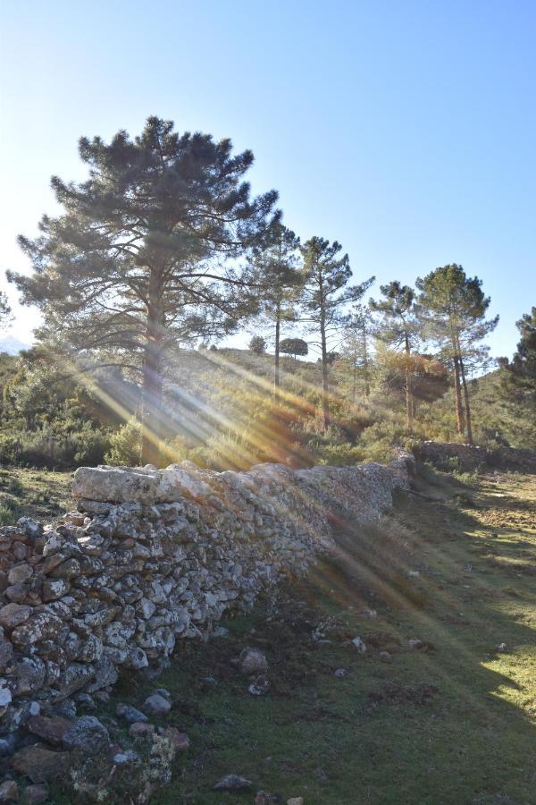Domaine U Filanciu - Maison Chiara avec piscine - Centre Corse Moltifao Esterno foto