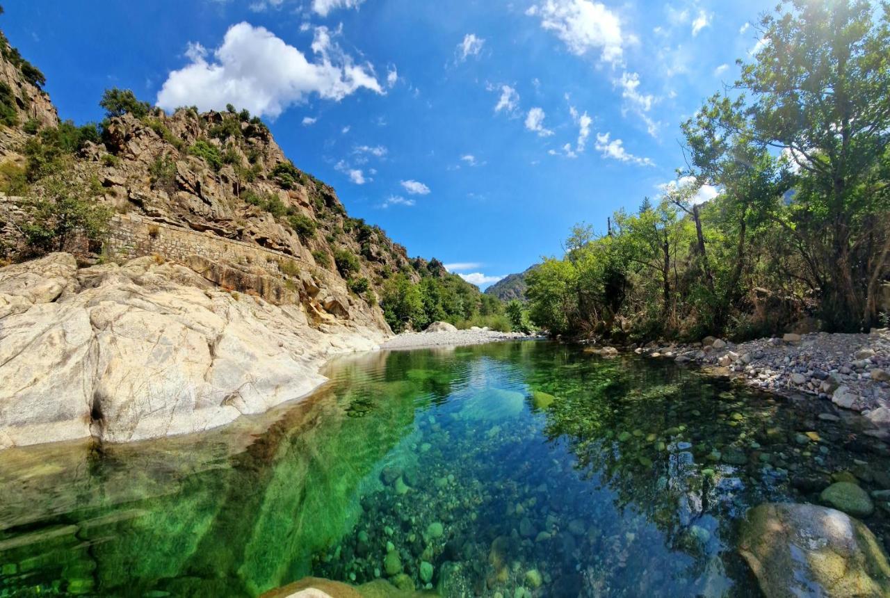Domaine U Filanciu - Maison Chiara avec piscine - Centre Corse Moltifao Esterno foto